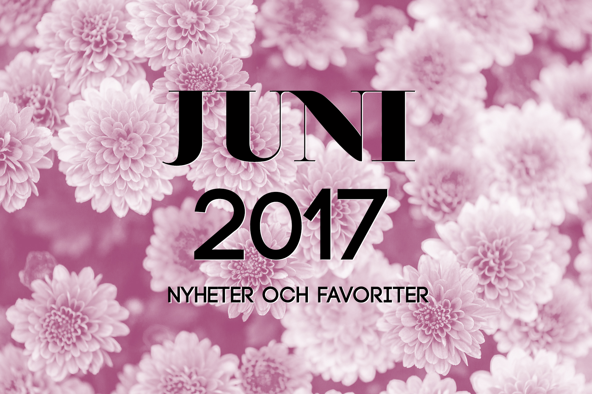 Juni 2017: Nyheter och favoriter