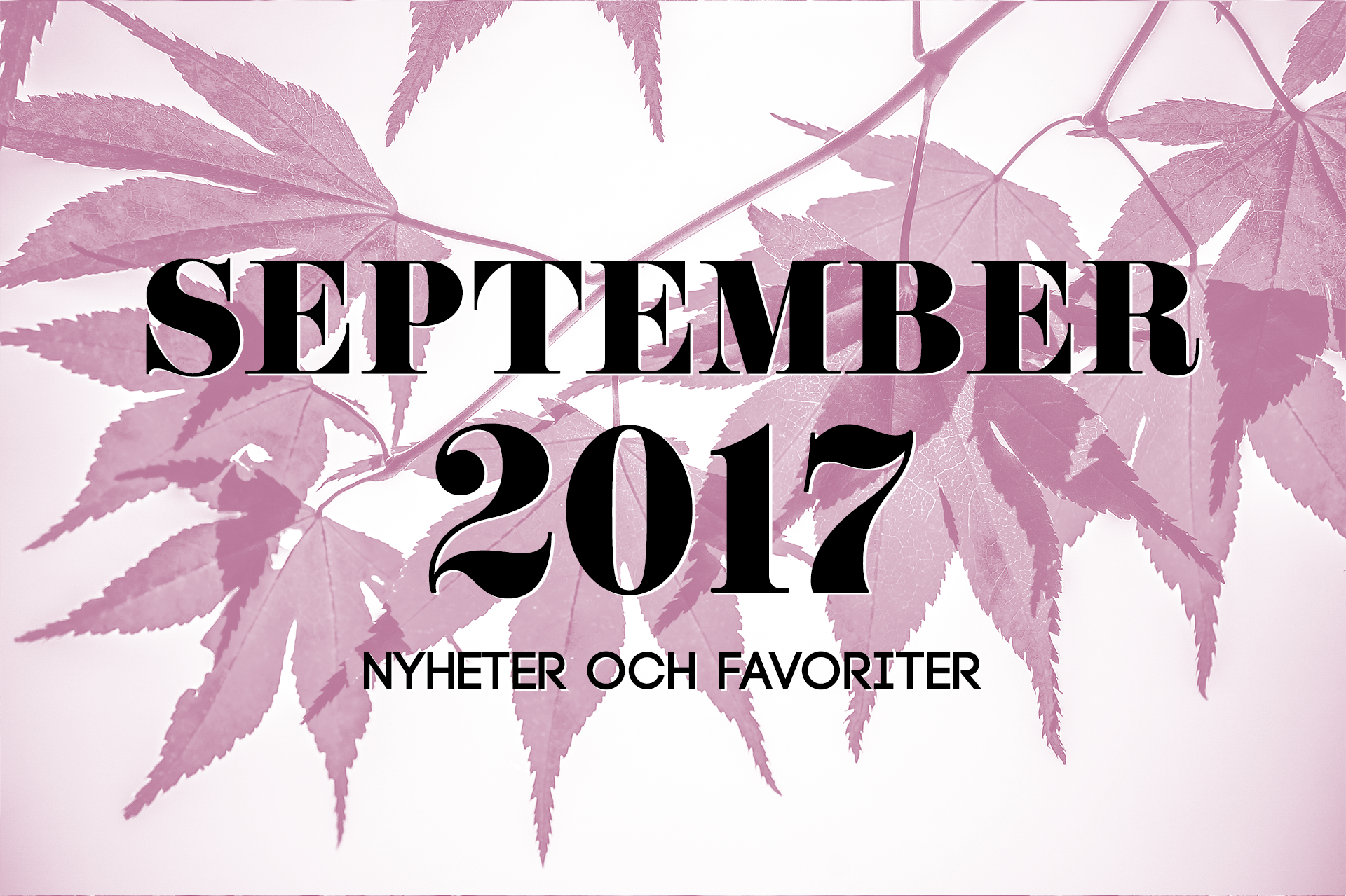 September 2017: Nyheter och favoriter