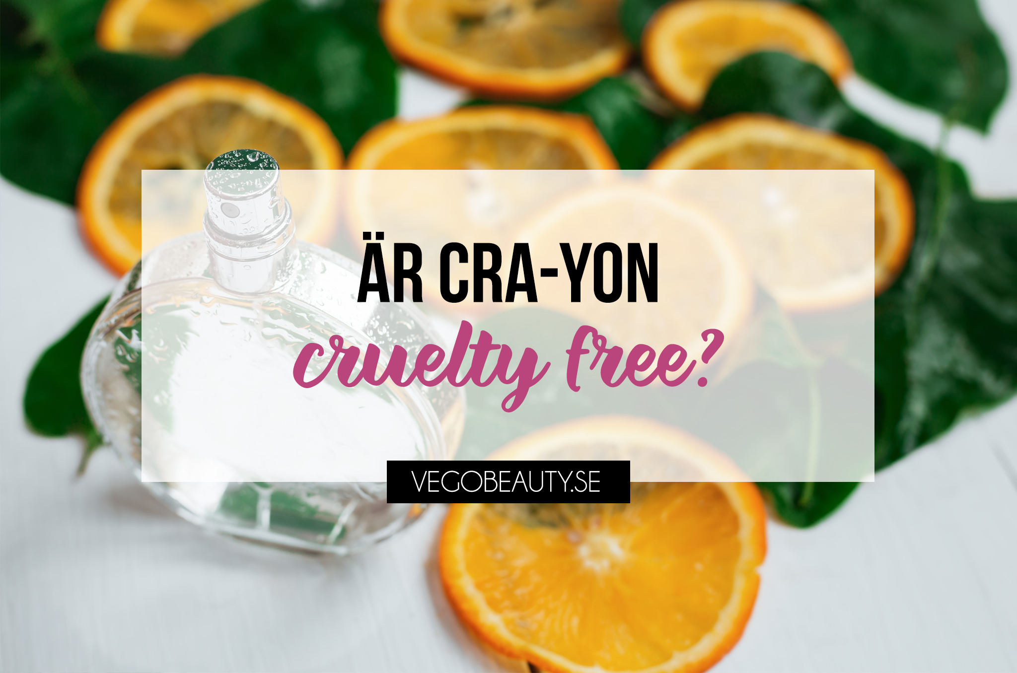 CRA-YON cruelty free