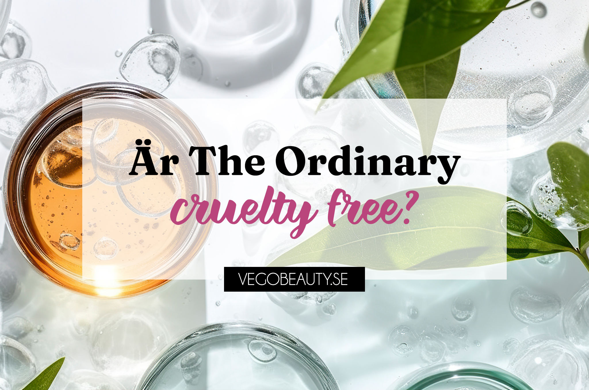 Är The Ordinary Cruelty Free